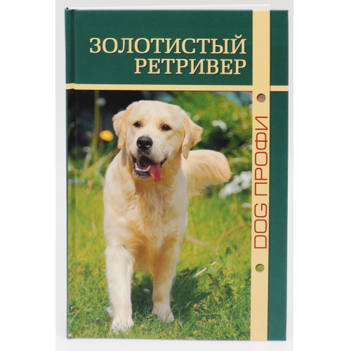 Золотистый ретривер DOG-ПРОФИ 
