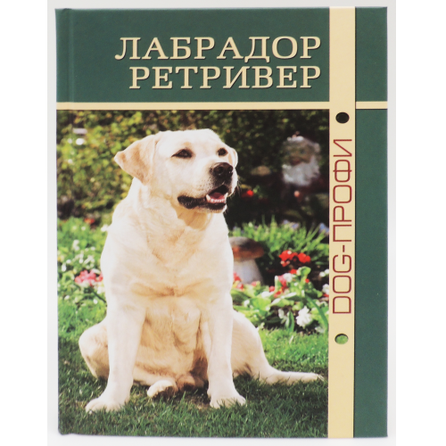 Лабрадор Ретривер DOG-ПРОФИ